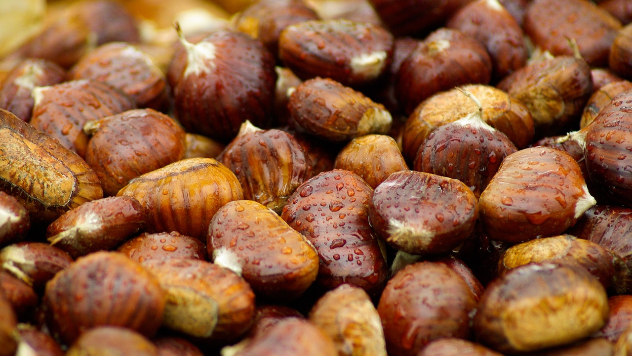 Chestnut Festival – Market Exhibition of the Fine Marradi Chestnut (Florence)