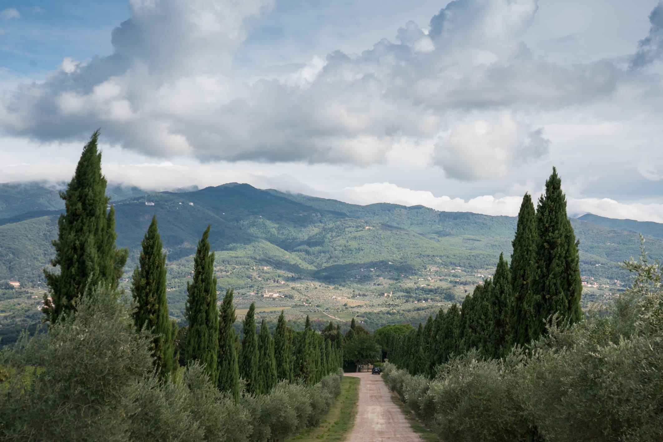 Paesaggio tipico toscano con una fila di cipressi lungo una strada di campagna a sud di Firenze